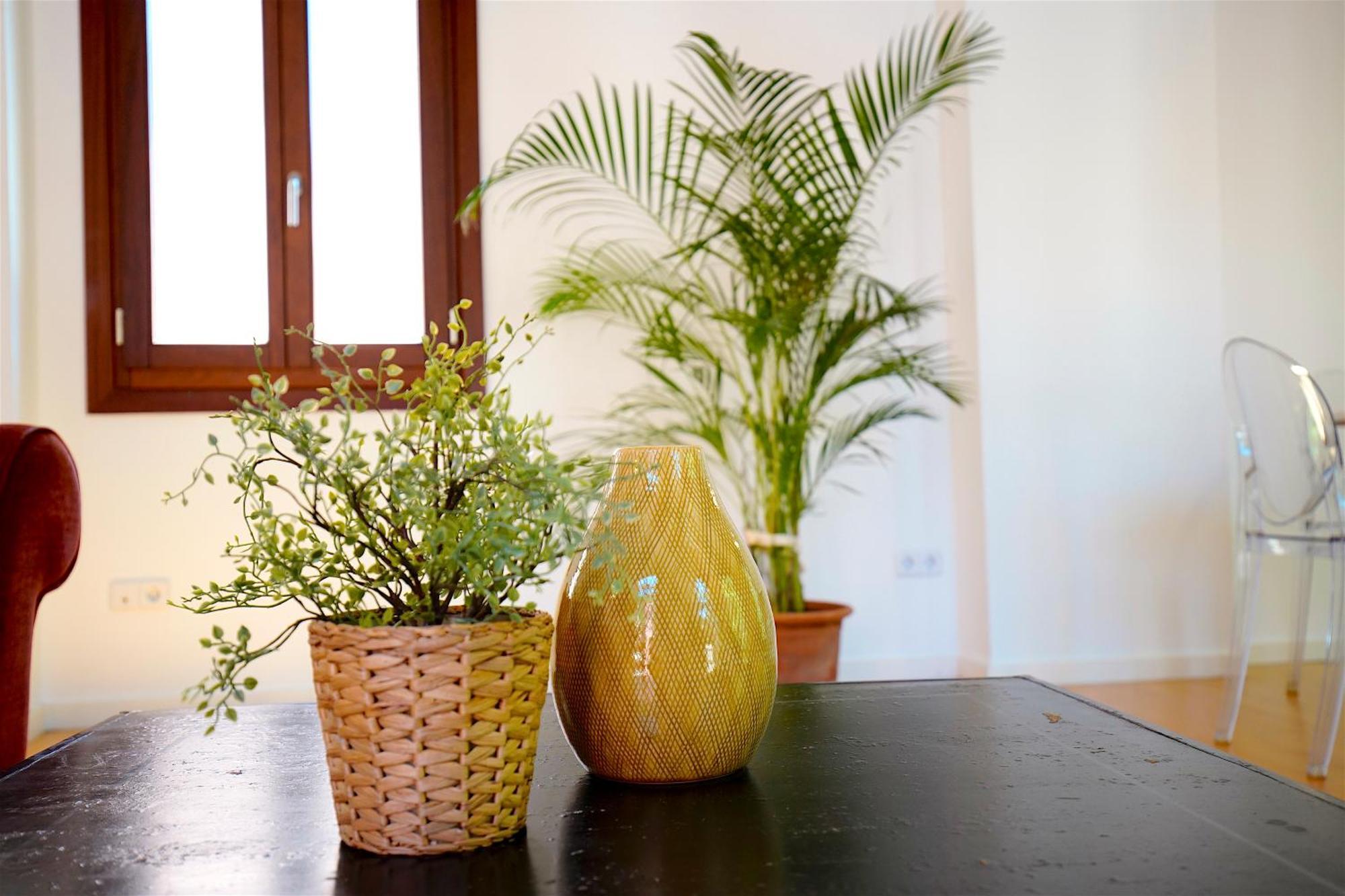 Appartement Montmari - Turismo De Interior Palma